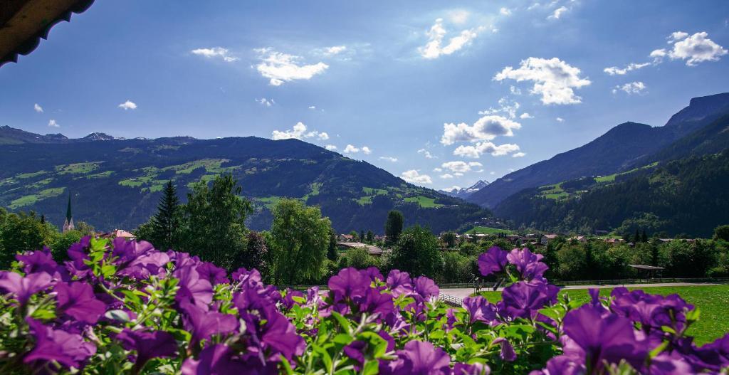 Villa Haidacher Relax & Lifestyle Apartments Zell am Ziller Bilik gambar